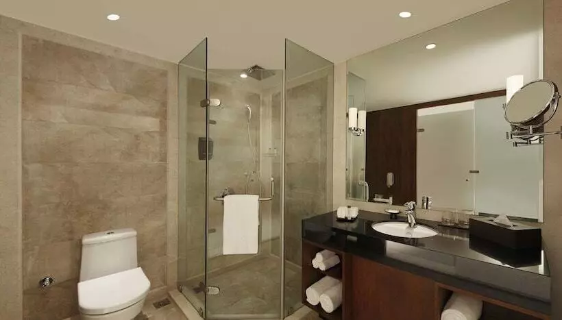 スタンダードルーム, Doubletree By Hilton Punechinchwad