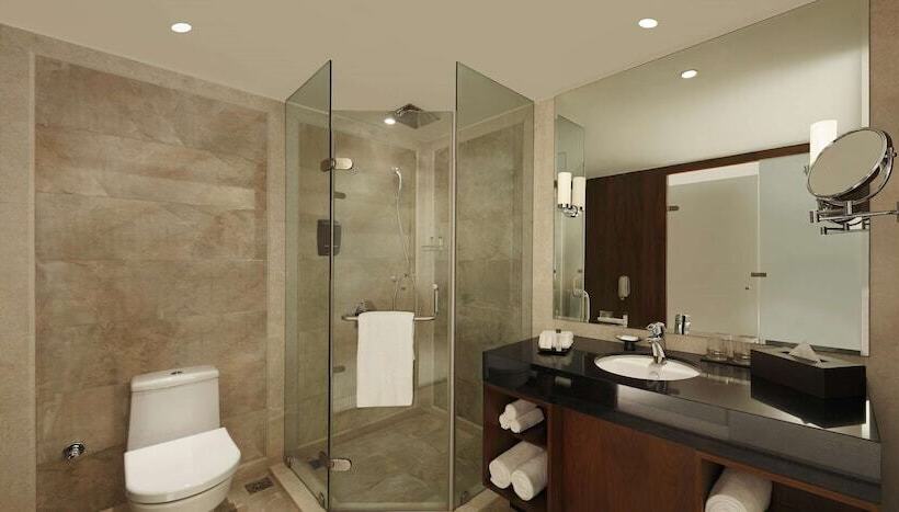 行政房间, Doubletree By Hilton Punechinchwad