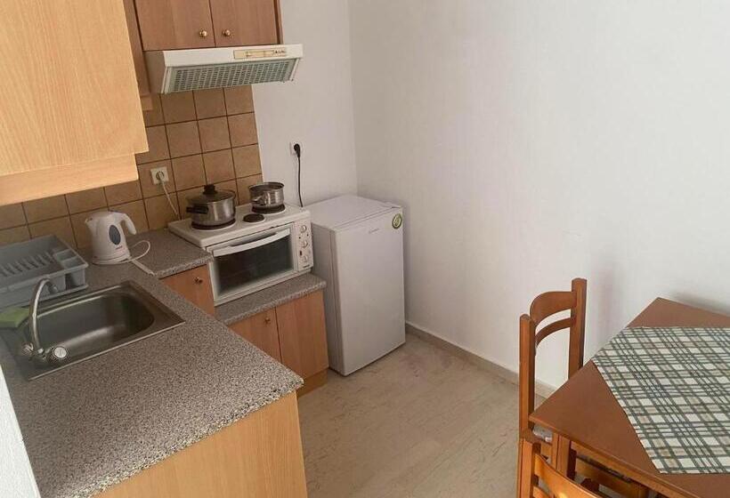 标准工作室, Eleni Palace