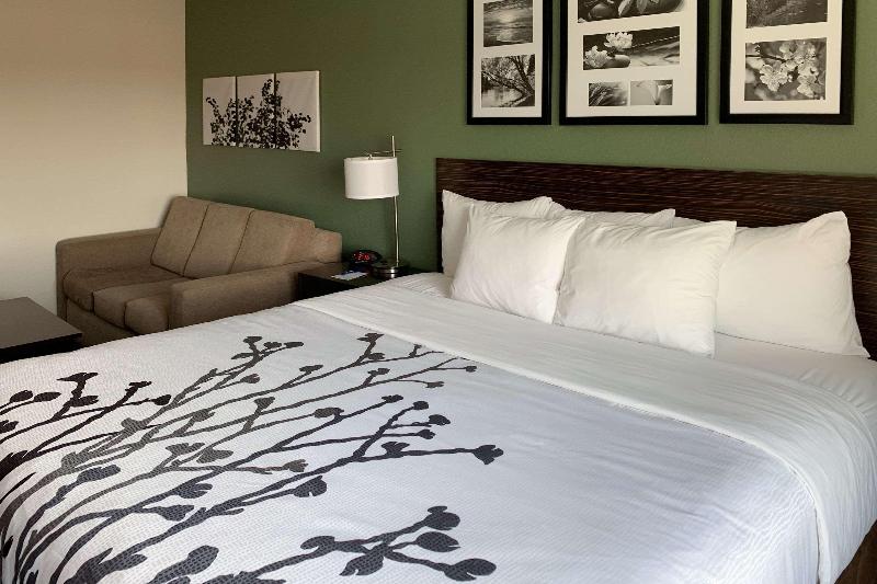 חדר סטנדרט עם מיטת קינג, Hampton Inn & Suites Decatur