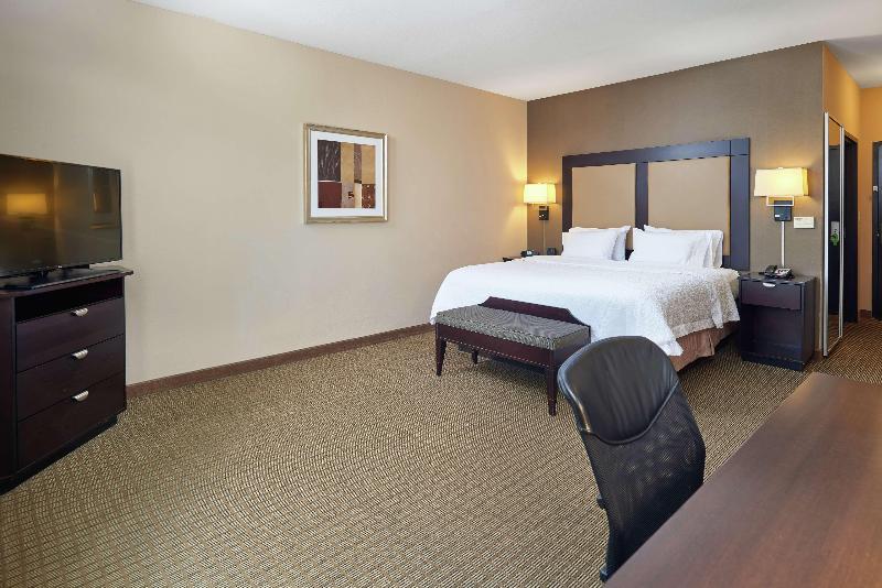 חדר סטנדרט עם מיטת קינג, Hampton Inn & Suites Decatur