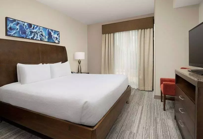 اتاق استاندارد, Hilton Garden Inn Charlotte Airport