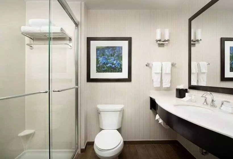 اتاق استاندارد برای معلولان, Hilton Garden Inn Charlotte Airport