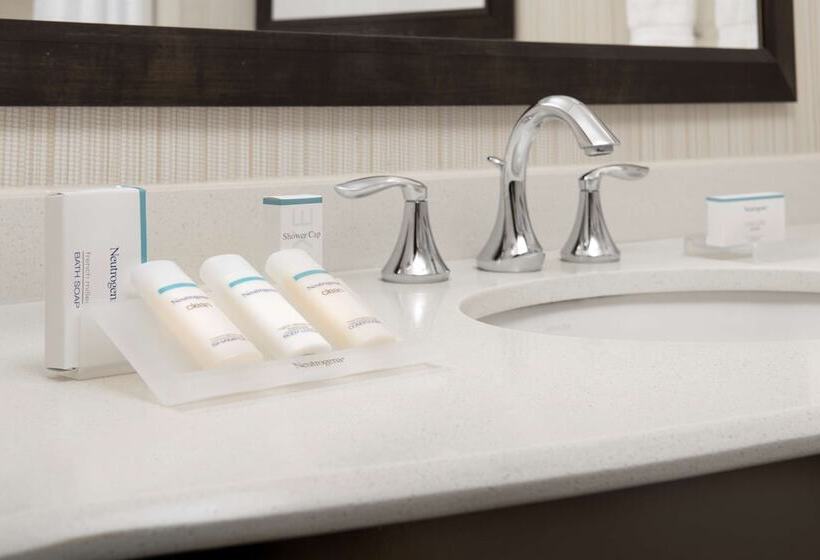 适合残疾人士使用的套间, Hilton Garden Inn Charlotte Airport