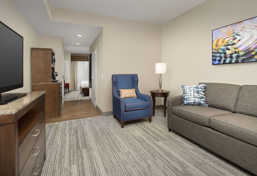 适合残疾人士使用的套间, Hilton Garden Inn Charlotte Airport