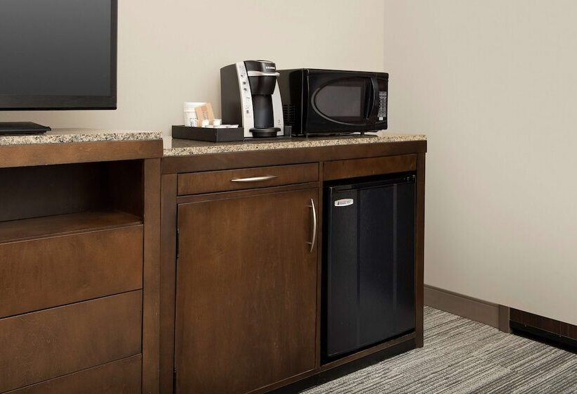 适合残疾人士使用的套间, Hilton Garden Inn Charlotte Airport