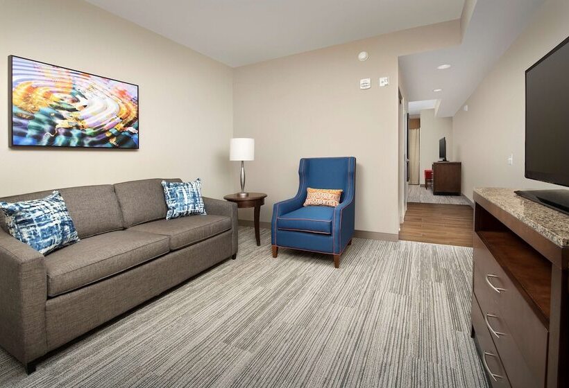 适合残疾人士使用的套间, Hilton Garden Inn Charlotte Airport