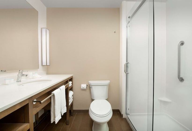 高级客房, Hilton Garden Inn Charlotte Airport