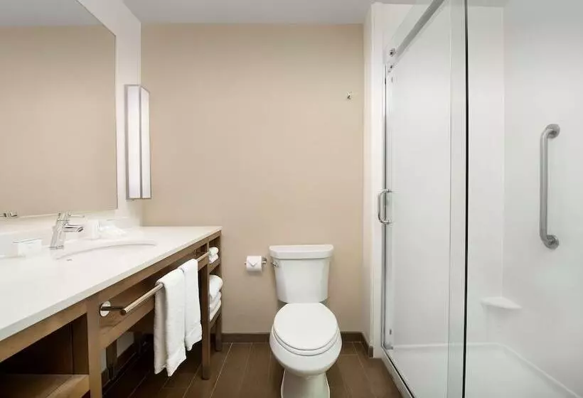 اتاق پرمیوم, Hilton Garden Inn Charlotte Airport