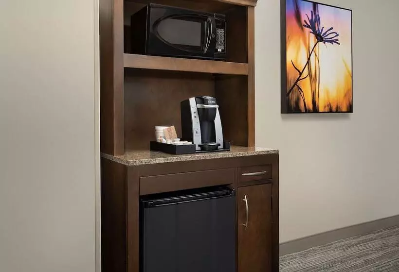 اتاق پرمیوم, Hilton Garden Inn Charlotte Airport