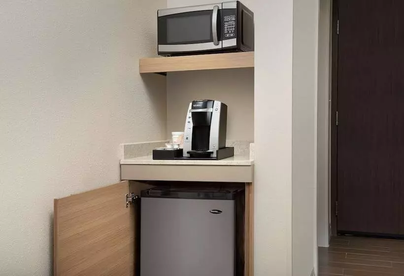 اتاق پرمیوم, Hilton Garden Inn Charlotte Airport