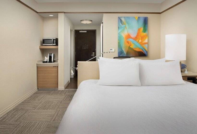 高级客房, Hilton Garden Inn Charlotte Airport