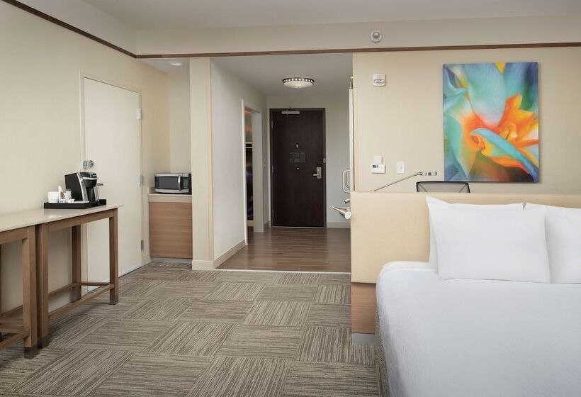 高级客房, Hilton Garden Inn Charlotte Airport