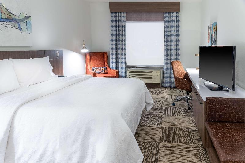 스탠다드 룸 킹사이즈 침대, Hilton Garden Inn North Little Rock