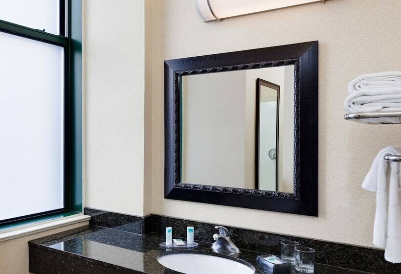 Люкс, Springhill Suites By Marriott Baltimore Downtown/inner Harbor