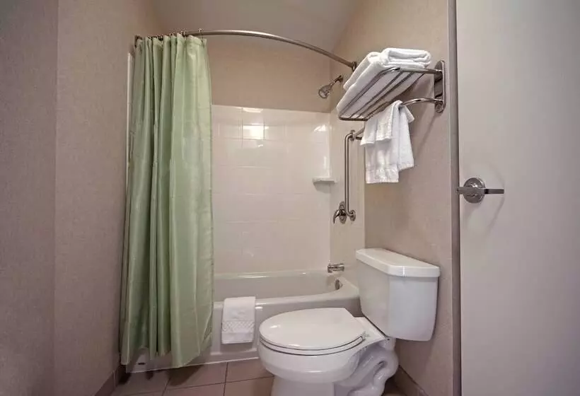スイート, Springhill Suites By Marriott Baltimore Downtown/inner Harbor