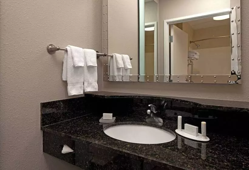 スイート, Springhill Suites By Marriott Baltimore Downtown/inner Harbor