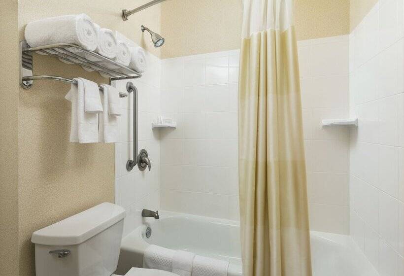 Люкс, Springhill Suites By Marriott Baltimore Downtown/inner Harbor