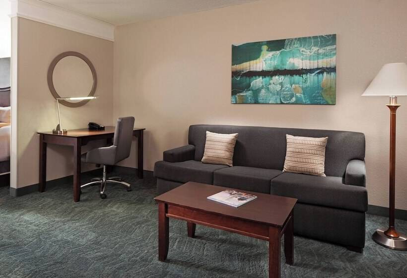 Люкс, Springhill Suites By Marriott Baltimore Downtown/inner Harbor