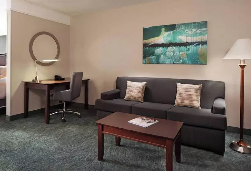 スイート, Springhill Suites By Marriott Baltimore Downtown/inner Harbor