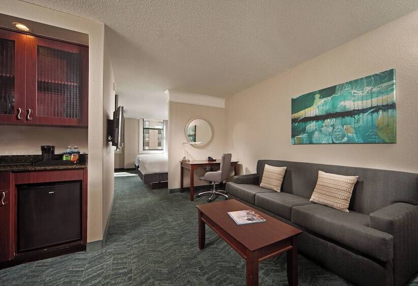 Люкс, Springhill Suites By Marriott Baltimore Downtown/inner Harbor