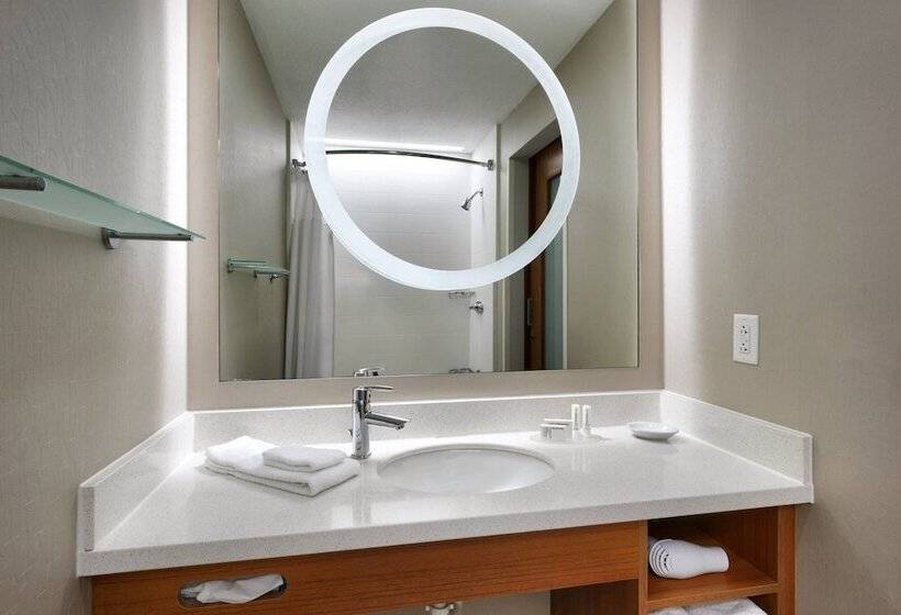 إستوديو قياسى, Springhill Suites By Marriott Provo