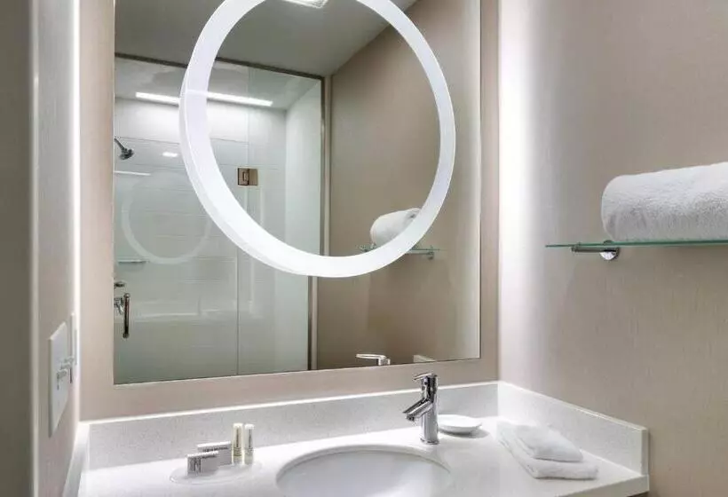 キングサイドベッドのスタンダードワンルーム, Springhill Suites By Marriott Provo
