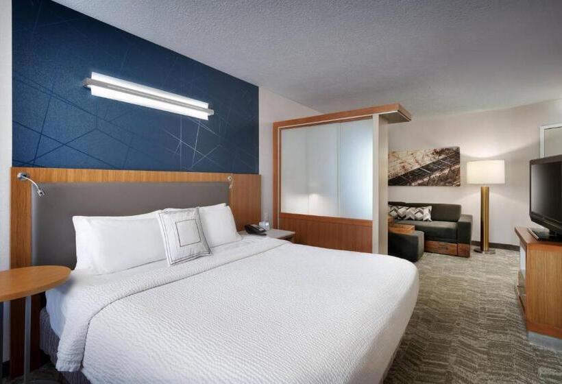 Студио Стандарт Кровать Кинг, Springhill Suites By Marriott Provo