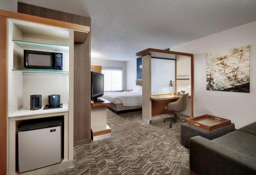 إستوديو قياسى سرير كينج, Springhill Suites By Marriott Provo