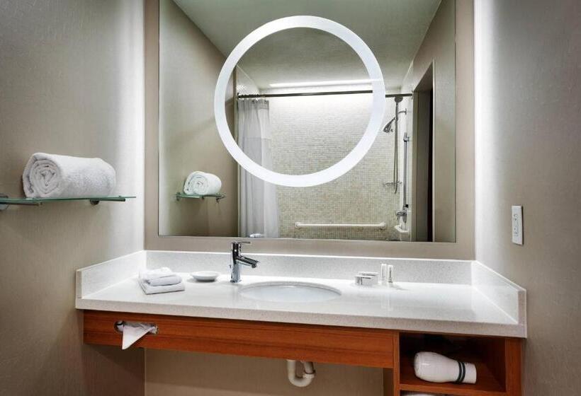 إستوديو قياسى, Springhill Suites By Marriott Provo