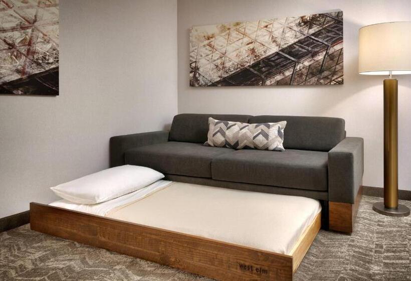 إستوديو قياسى, Springhill Suites By Marriott Provo