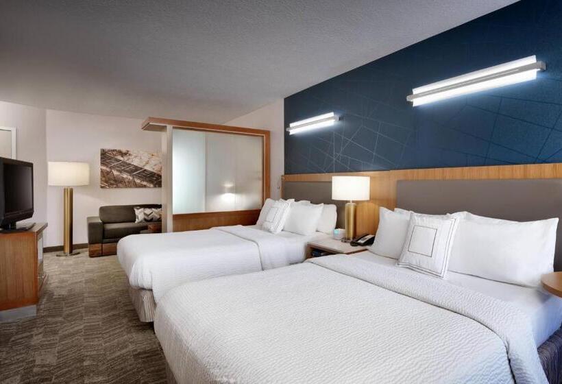 Студия Стандарт, Springhill Suites By Marriott Provo