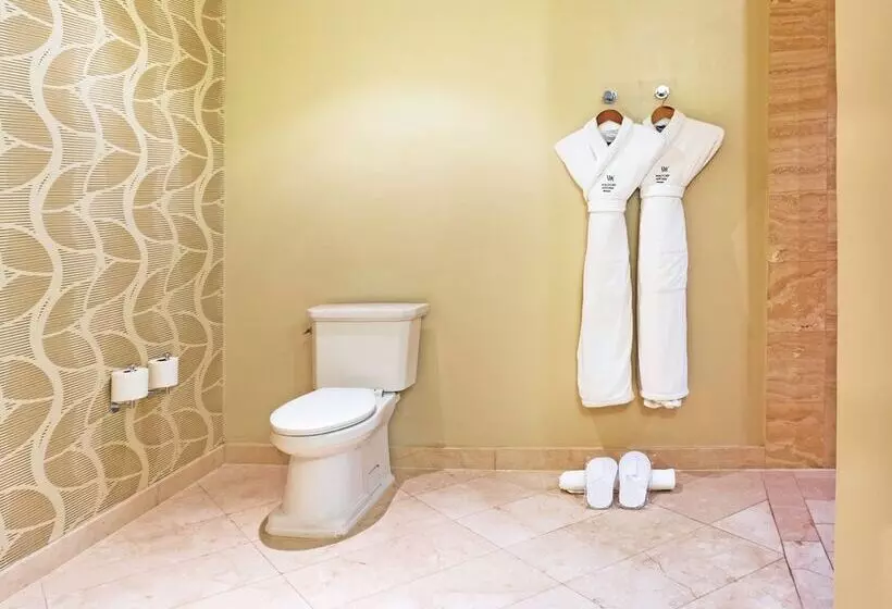 障害者適応デラックスルーム, Waldorf Astoria Panama