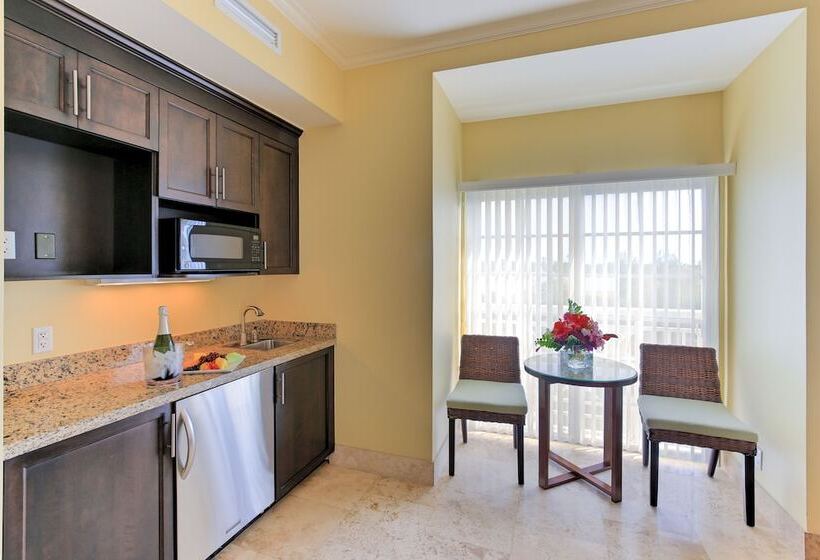 スタンダードスタジオ, Windsong On The Reef