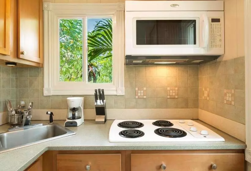 خانه 1 خوابه, Kokomo Botanical Resort Caribbean Family Cottages