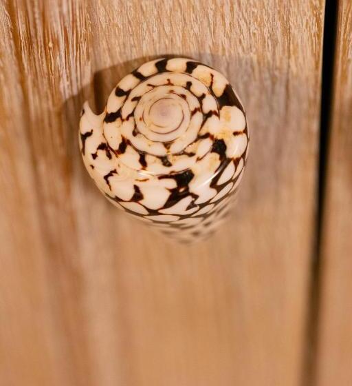 חדר סטנדרט יחיד, Residenza Sveva