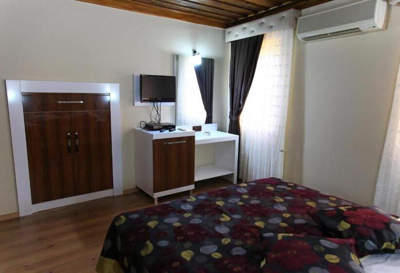 اتاق سوپریور, Bacchus Pension