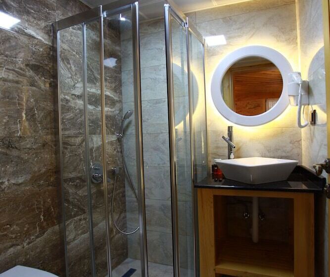 اتاق سوپریور, Bacchus Pension