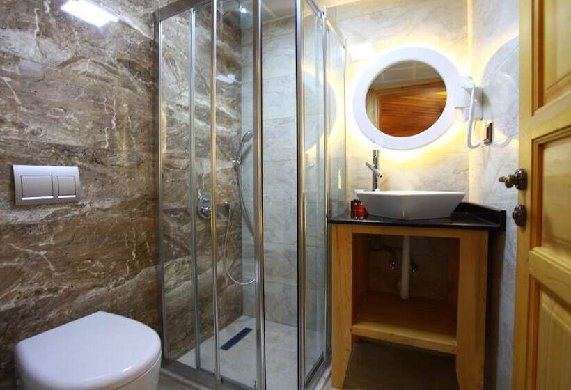 اتاق سوپریور, Bacchus Pension