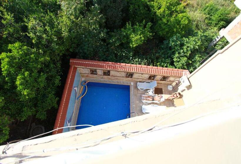 اتاق سوپریور سه تخته, Bacchus Pension