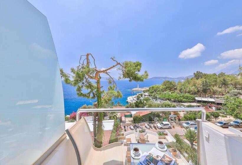 غرفة قياسية مطلّة علي البحر, Gardenia