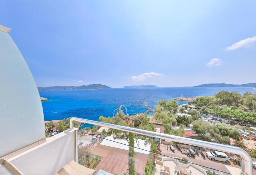 غرفة قياسية مطلّة علي البحر, Gardenia