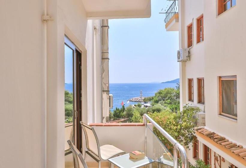 غرفة قياسية, Gardenia