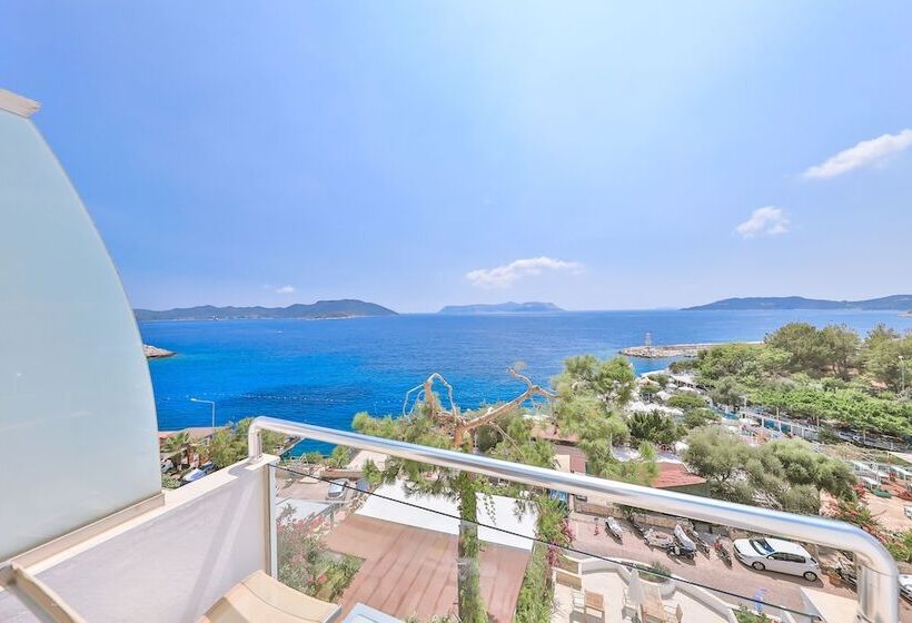 غرفة قياسية مطلّة علي البحر, Gardenia