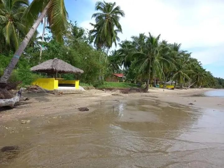オーシャンビューデラックスルームバルコニー付き, Chilly Beach Resort Palawan