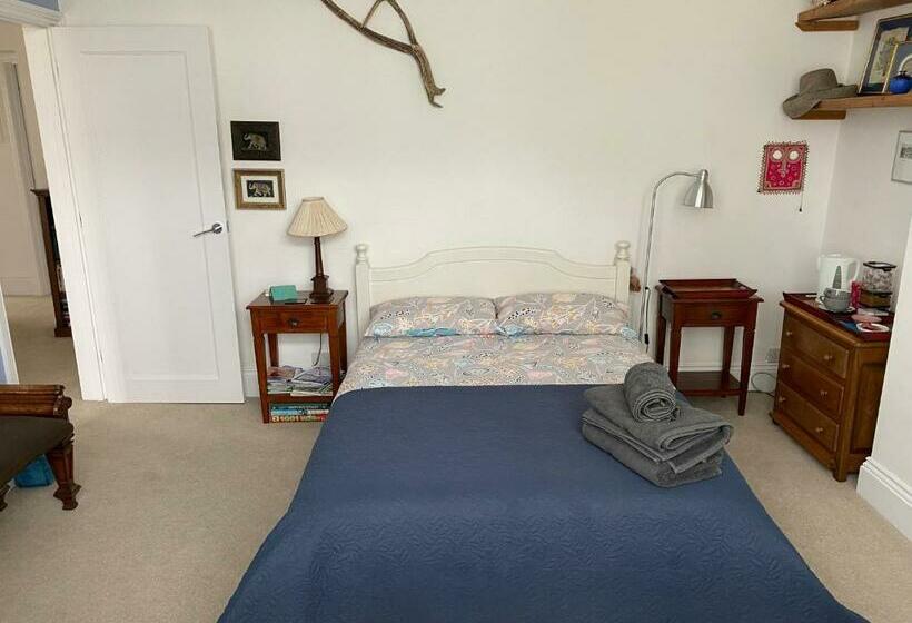 デラックスルーム, No Car Needed