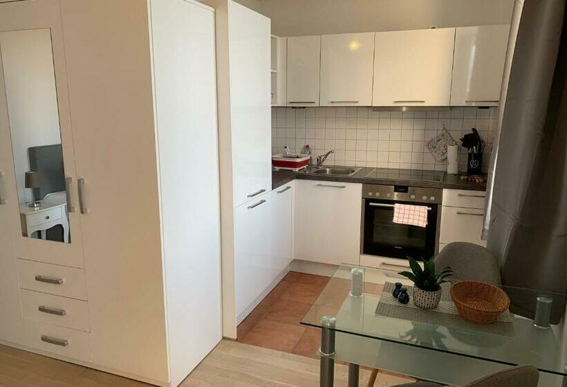 Standard studio with lake view, Einraumapartment Mit Seeblickbalkon