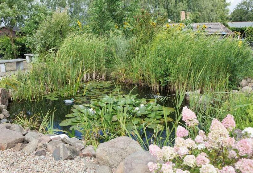 Standard studio with lake view, Einraumapartment Mit Seeblickbalkon