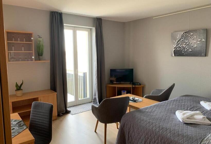 Standard studio with lake view, Einraumapartment Mit Seeblickbalkon