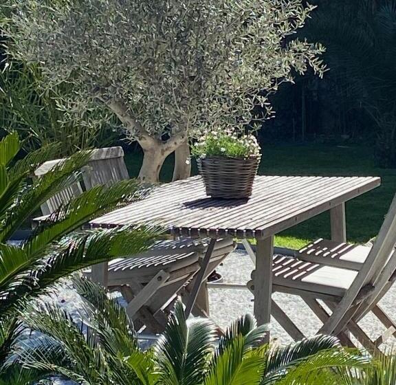 スタンダードルーム, Un Palmier à Sa Fenêtre